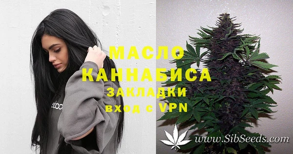 Альфа ПВП Медногорск