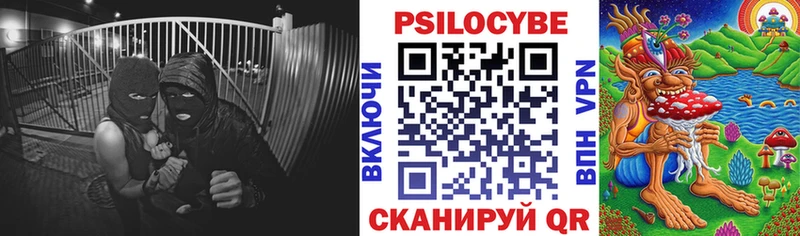 mega сайт  Красногорск  Псилоцибиновые грибы Magic Shrooms 
