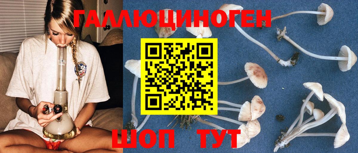 Галлюциногенные грибы Magic Shrooms Красногорск