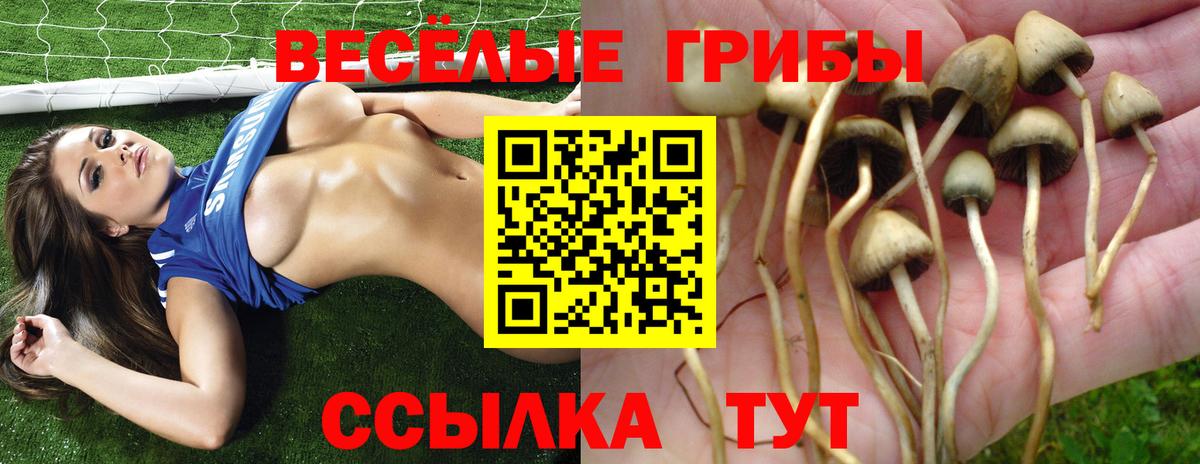 Красногорск  Галлюциногенные грибы MAGIC MUSHROOMS  Галлюциногенные грибы MAGIC MUSHROOMS  Вход с VPN 